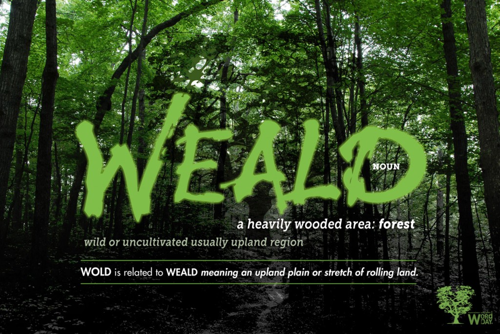 WEALD: heavily wooded area - forest