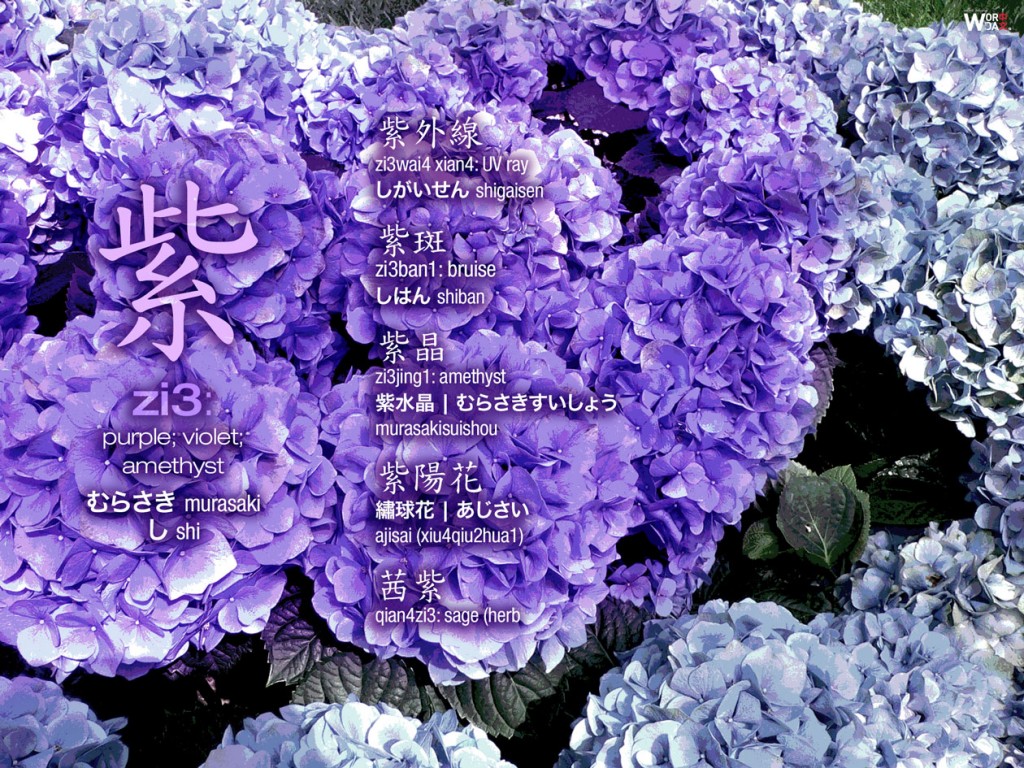 紫zi3: purple; violet; amethyst [むらさきmurasaki; しshi]