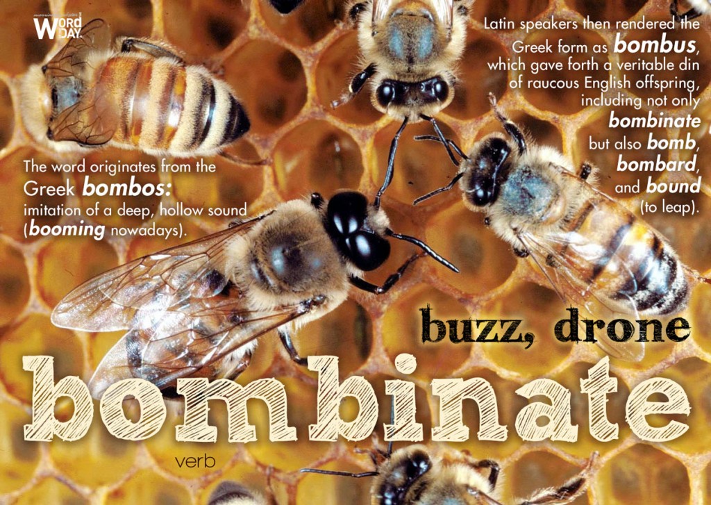 Bombinate: to buzz; drone