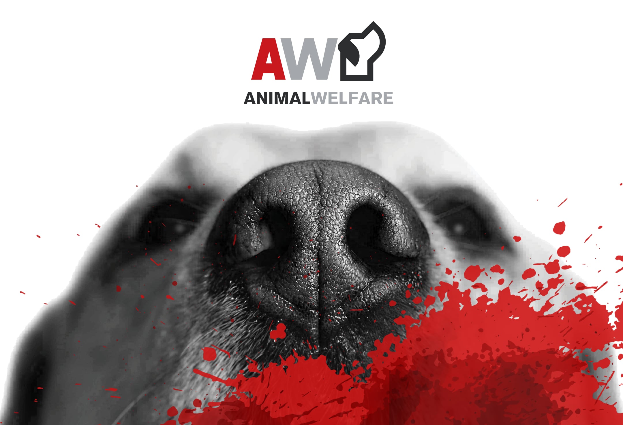 Animal Welfare